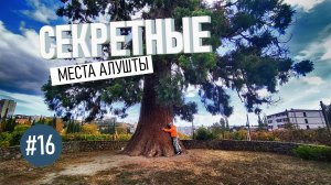 На велосипеде по СЕКРЕТНЫМ МЕСТАМ АЛУШТЫ. Крутые достопримечательности КРЫМА в пешей доступности