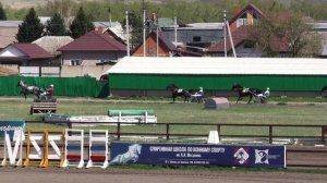 07.05.2025г.Абаканский Ипподром Приз Открытия бегового сезона для лошадей орловской рысистой породы