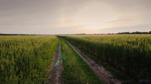 Кадры завораживают, когда каждая нота попадает точно в точку - Trust -- Kirk Osamayo -- Season Two (