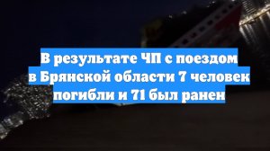 В результате ЧП с поездом в Брянской области 7 человек погибли и 71 был ранен