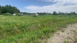 Райское место а Альпийских лугах