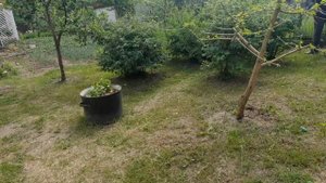 Конец мая. Все запланированые работы, сделаны.