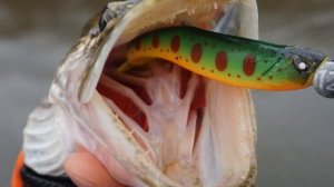 Уловистый Силикон на Щуку Виброхвост Basara Soft Swim 5 Оснащ?