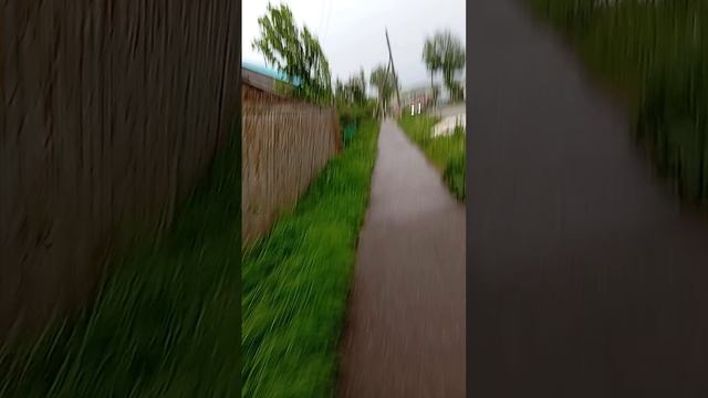 Летний полдень: расслабленная городская прогулка-Cleaning shadow on street