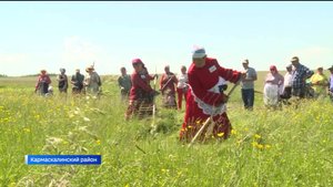 На сабантуе в Кармаскалинском районе Башкортостана прошли республиканские состязания косарей