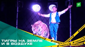 Тигры на земле и в воздухе. С гастролями в столицу Южного Урала приехал цирк Ярослава Запашного