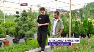 Садовники страны - теперь в тренде! Смотрим репортаж ТРК "Краснодар"