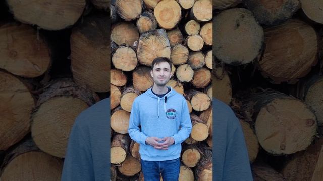 Как посчитать объём доски? Сколько досок в кубе пилома