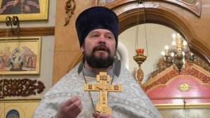 О роли человека в Церкви