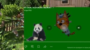 побег от. маши. (ADD ROAD. 3)