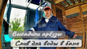 ВЫСАДИЛИ АРБУЗЫ  СЛИВ ДЛЯ ВОДЫ В БАНЕ