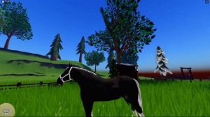 Шайры / Wild Horse Islands