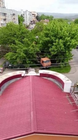 Вот этот участок будет вырубаться! Как вам такое очередное эко-преступление в Кисловодске?