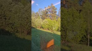 Едешь и смотришь вдаль.. Электричка на Москву🥰