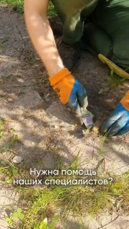 Как очистить отмостку от сорняков? Ответ в видео