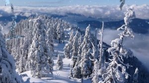 SKACHAT_ONLINE_neveroyatno-krasivaya-melodiya-sergey-chekalin-padal-sneg-128920.mp4