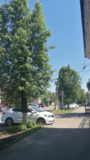 VID_20250602_104439