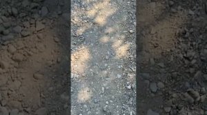 Практика ходьбы по камням