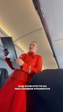 #стюардесса