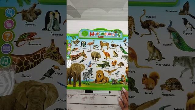 говорящая доска Мир животных #mapaya #мамапапая #магазини