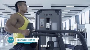 Гребля/задние дельты SHUA SH-6803