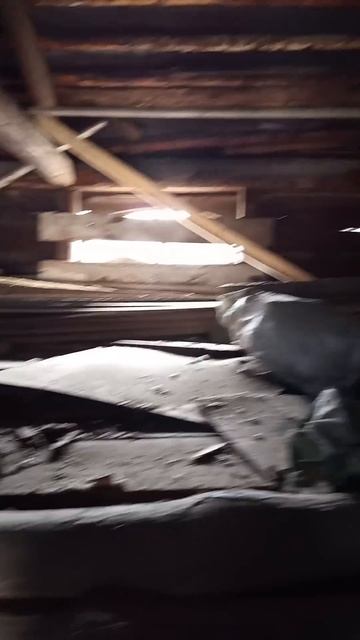 Самая большая крыша попалась под демонтаж смотреть онлайн