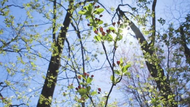 Сирота пошел ночевать в заброшенный дом и нашел под ки смотреть онлайн