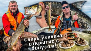Долгожданный ЖЕРЕХ и отличный клёв хищной рыбы на реке Свирь.