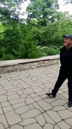 Отражение Откатывание.В тайцзи.