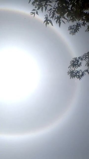 Солнце в небе смотреть онлайн