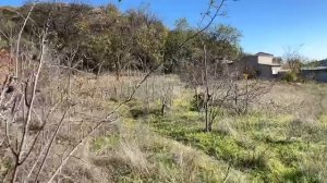 video5327829668521340915