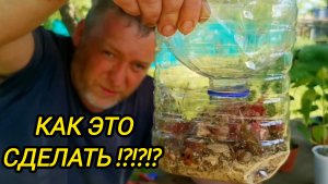 КАК ЭТО СДЕЛАТЬ | Деревенские будни | Дом в деревне | Семья в селе
