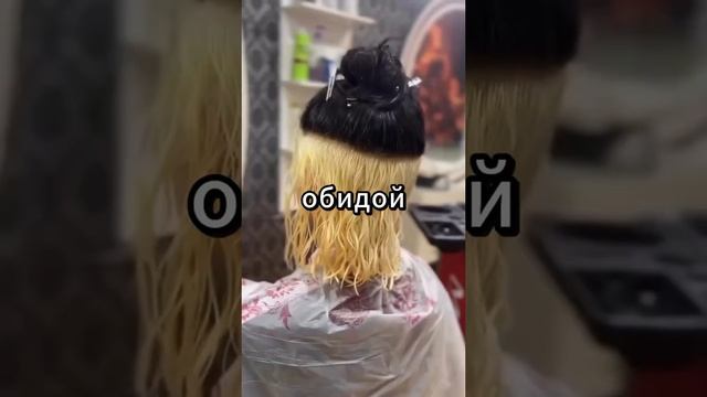 История