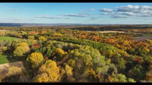 Звук раскрывает природу так, что перехватывает дыхание - Beat 9 -- Kirk Osamayo -- Season Two (ORANG