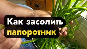 Как засолить папоротник - правильно собрать и посолить папоротник орляк