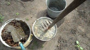 Подкормка для лука