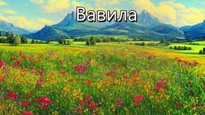Вавила