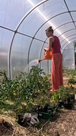 В такую жару можно душ