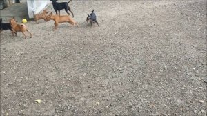 1000078338.mp4