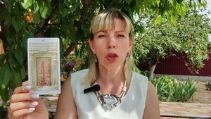 ОВЕН. Куда ведет вас судьба. Таро расклад.