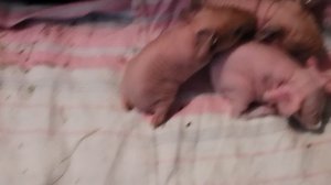 Мои скинни, 1 июня