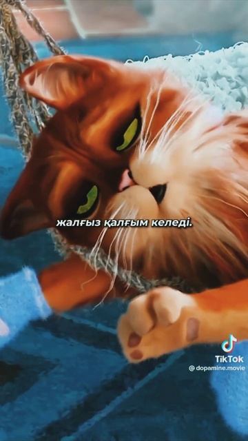 Сипала қане смотреть онлайн