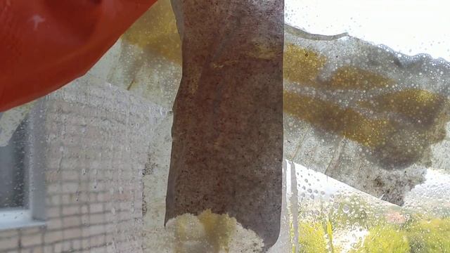 отмыть окна от скотча малярного (в описании важная час смотреть онлайн