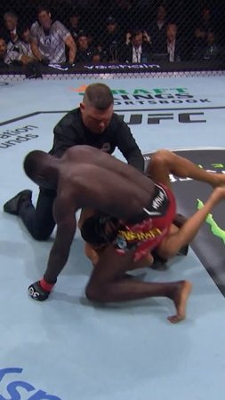 Лучшие нокауты Подпишись и ставь лайк #ufc #mma #youtube #sports #tiktok #shortsvideo #russia #box