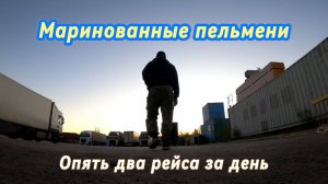 МАРИНОВАННЫЕ ПЕЛЬМЕНИ, УДАЧНЫЙ РЕЙС В ПЕРЕКРЁСТОК #грузоперевозки