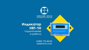 Обзор индикатора НВТ-1Н из нержавеющей стали