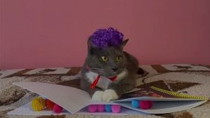 Котинет 53 Серия Шарики Мультики Для Детей