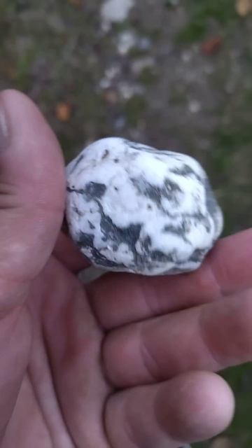 Лес необычный камень смотреть онлайн