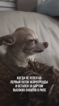 ПОДПИСЫВАЙСЯ НА КАНАЛ➡️@content_smm
⠀