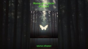 Жизнь до и после